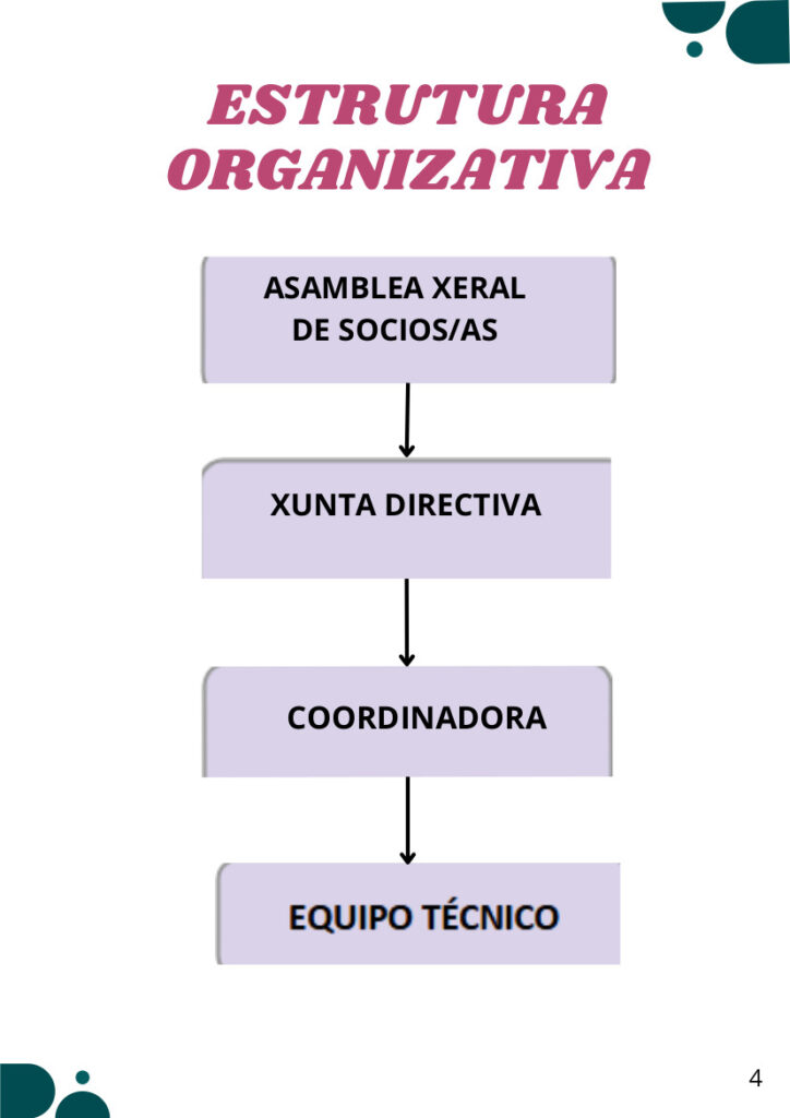 Estrutura Organizativa
