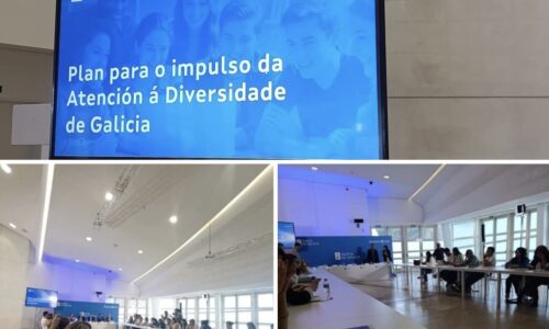 PLAN ATENCION A DIVERSIDADE