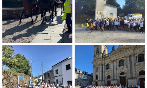 RUTA (2)